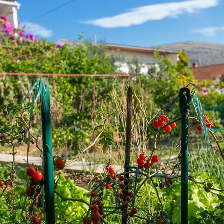 Apartman By The Sea Seget Vranjica, Trogir - 1038 Seget Vranjica
